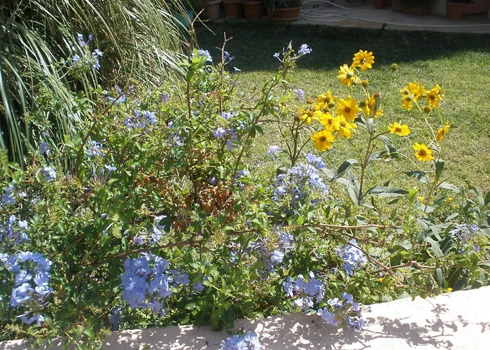 Livadi Apartments