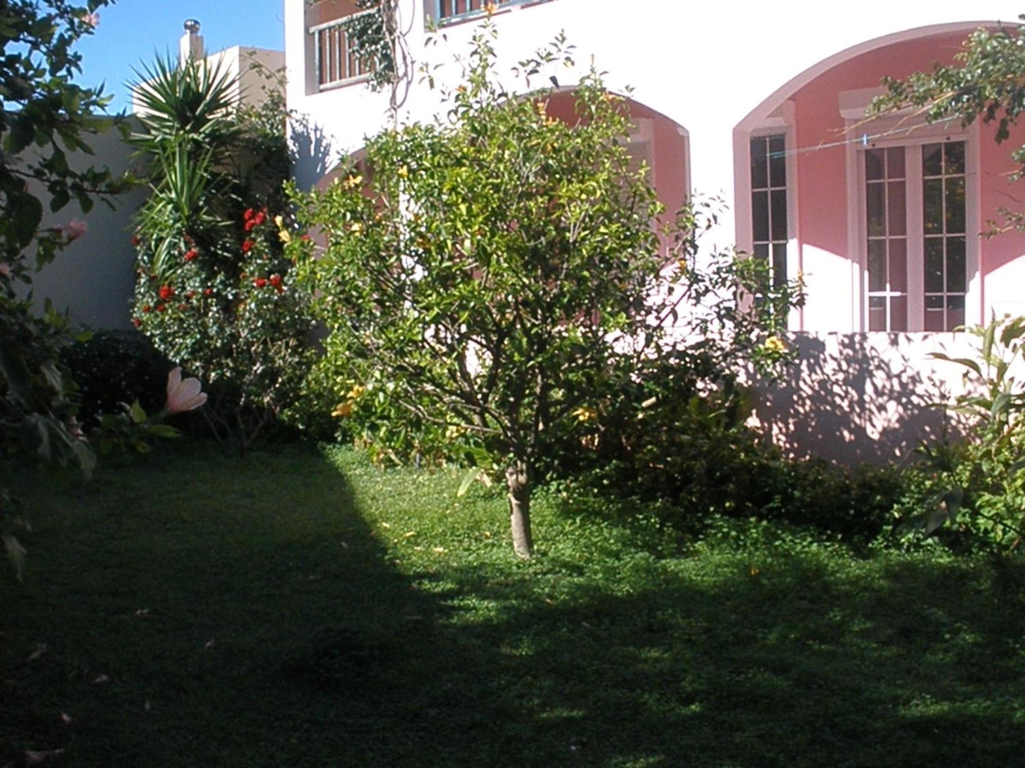 Apartment Livadi