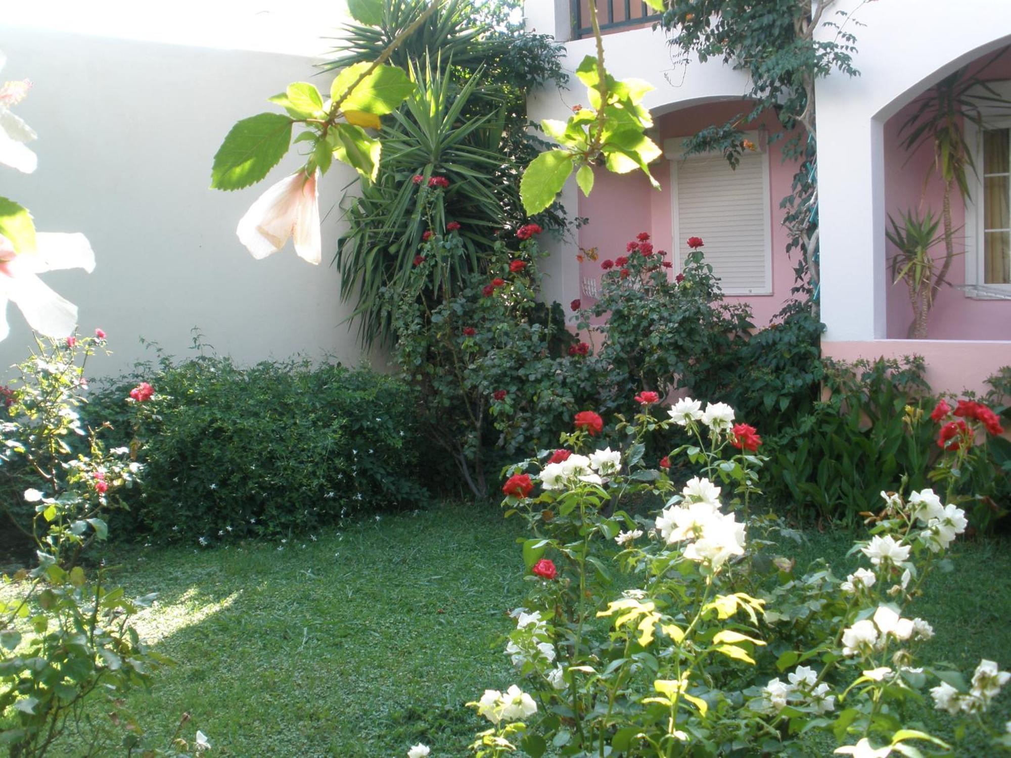 Apartment Livadi *